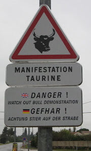 Bull Manifestation