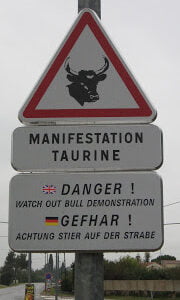 Bull manifestation